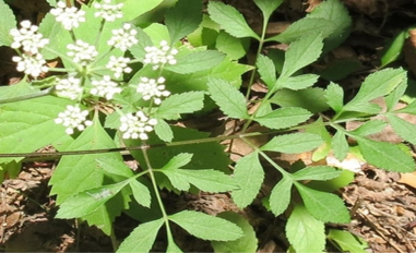 Tên tiêu đề bài viết Demo 1