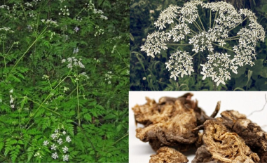 Tên tiêu đề bài viết Demo 2