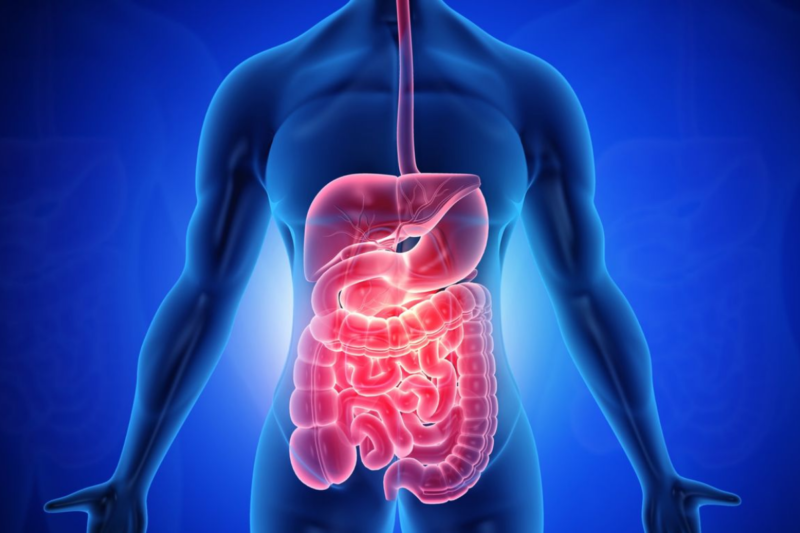 Điều trị trĩ ngoại - Xuất hiện búi thịt nhỏ ở rìa hậu môn