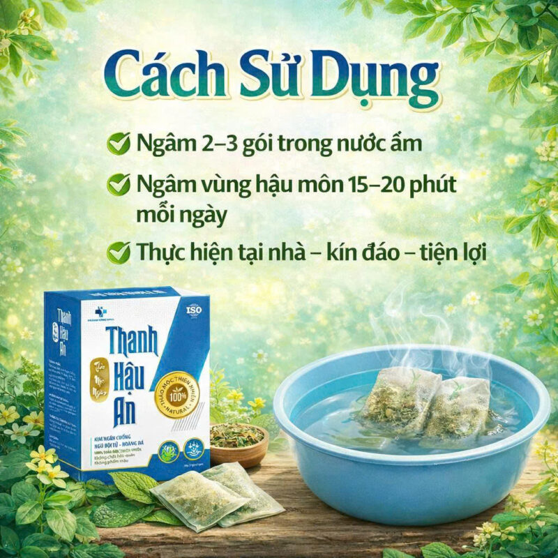 Người bị trĩ dùng chè ngâm Thanh Hậu An có thực sự hiệu quả không?