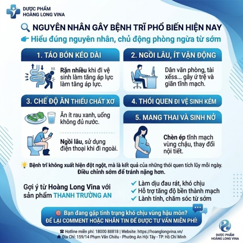Điều trị trĩ ngoại an toàn - Nguyên nhân gây bệnh trĩ phổ biến hiện nay
