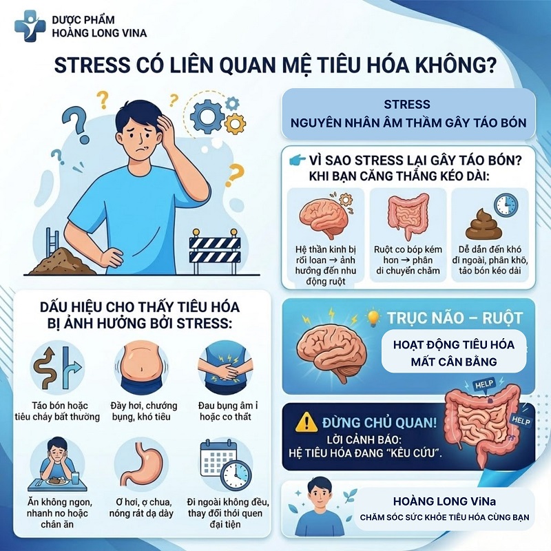 Stress có liên quan hệ tiêu hóa không