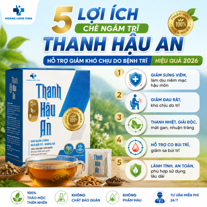 5 lợi ích chè ngâm trĩ Thanh Hậu An hỗ trợ giảm khó chịu do bệnh trĩ hiệu quả 2026
