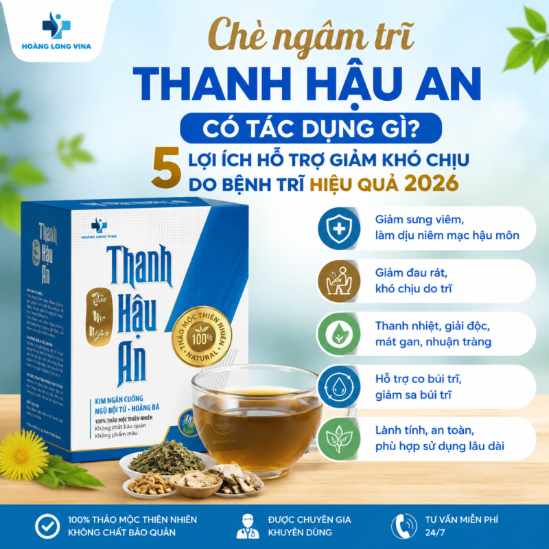 Chè ngâm Thanh Hậu An có tác dụng gì? 5 lợi ích hỗ trợ giảm khó chịu do bệnh trĩ hiệu quả 