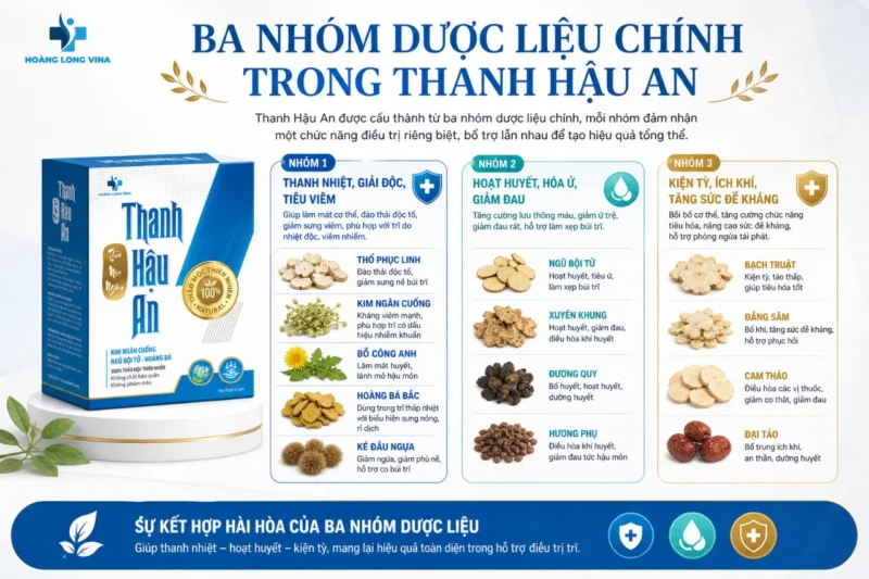 3 Nhóm dược liệu chính trong chè ngâm Thanh Hậu An