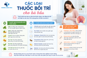 Các loại thuốc bôi trĩ cho bà bầu