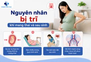 Nguyên nhân bị trĩ khi mang thai và sau sinh 