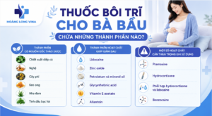 Thuốc bôi trĩ cho bà bầu chứa những thành phần nào? 