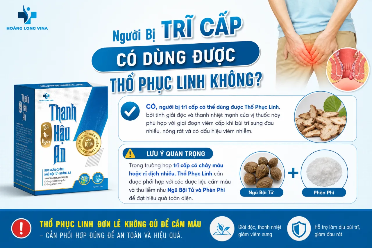 Người Bị Trĩ Cấp Có Dùng Được Thổ Phục Linh Không?