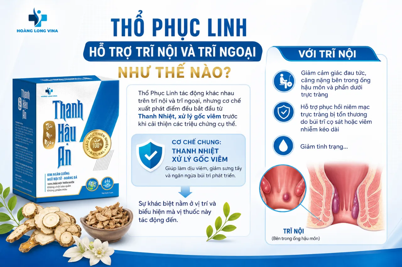 Thổ Phục Linh Hỗ Trợ Trĩ Nội Và Trĩ Ngoại Như Thế Nào?