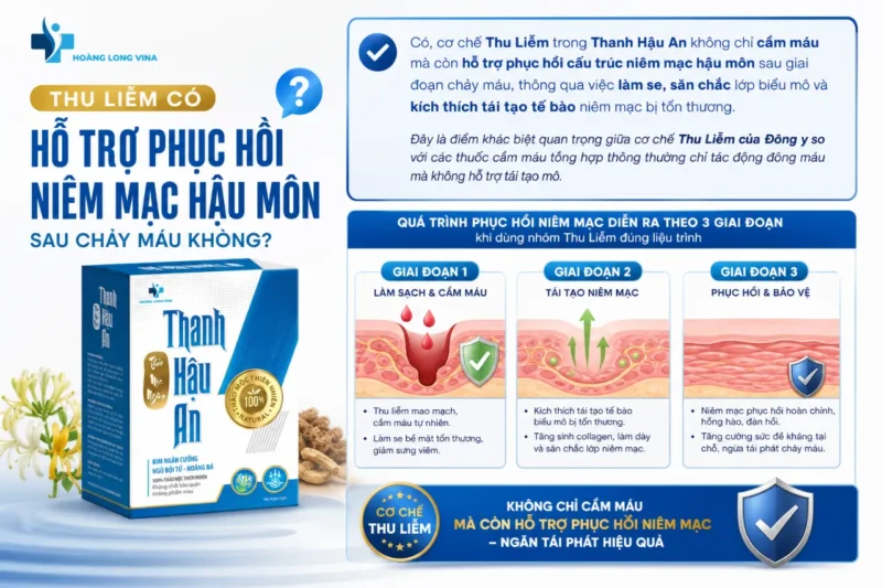Chè ngâm trĩ Thanh Hậu An - Hỗ trợ phục hồi niêm mạc hậu môn