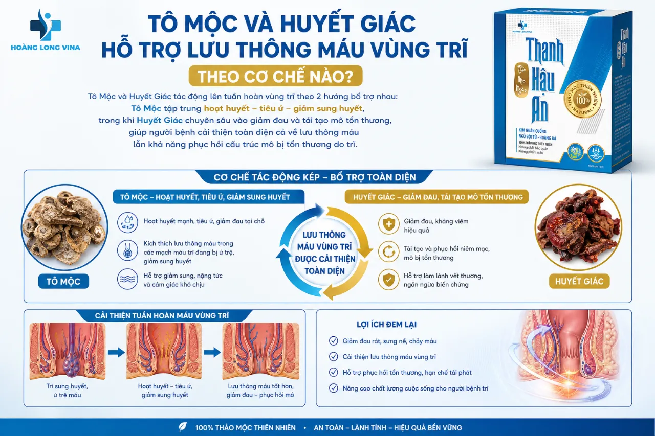 Tô Mộc Và Huyết Giác Hỗ Trợ Lưu Thông Máu Vùng Trĩ Theo Cơ Chế Nào?