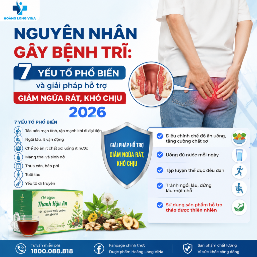 Nguyên nhân gây bệnh trĩ: 7 yếu tố phổ biến và giải pháp hỗ trợ giảm ngứa rát, khó chịu 2026 