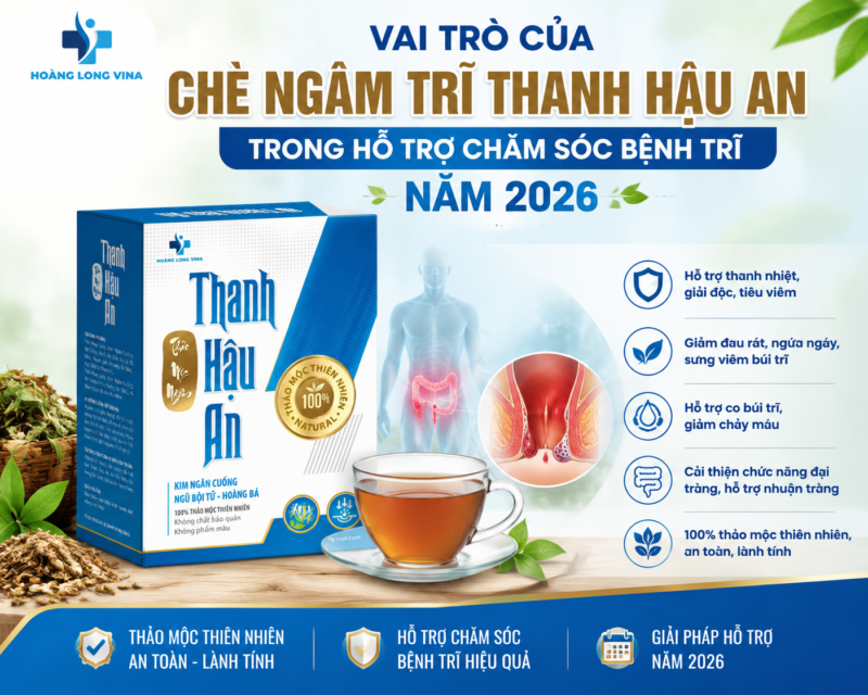 Vai trò của chè ngâm trĩ Thanh Hậu An trong hỗ trợ chăm sóc bệnh trĩ 