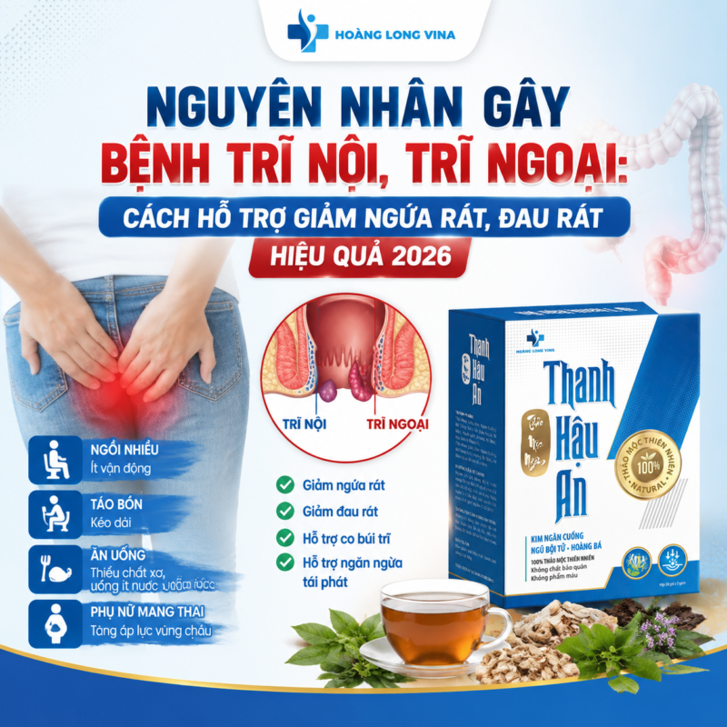 Nguyên nhân gây bệnh trĩ nội, trĩ ngoại: Dấu hiệu bệnh trĩ theo từng giai đoạn phát triển