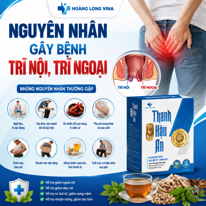 Nguyên nhân gây bệnh trĩ nội, trĩ ngoại