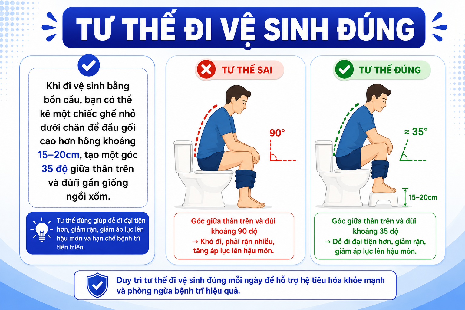 Tư thế đi vệ sinh đúng cho người bị trĩ