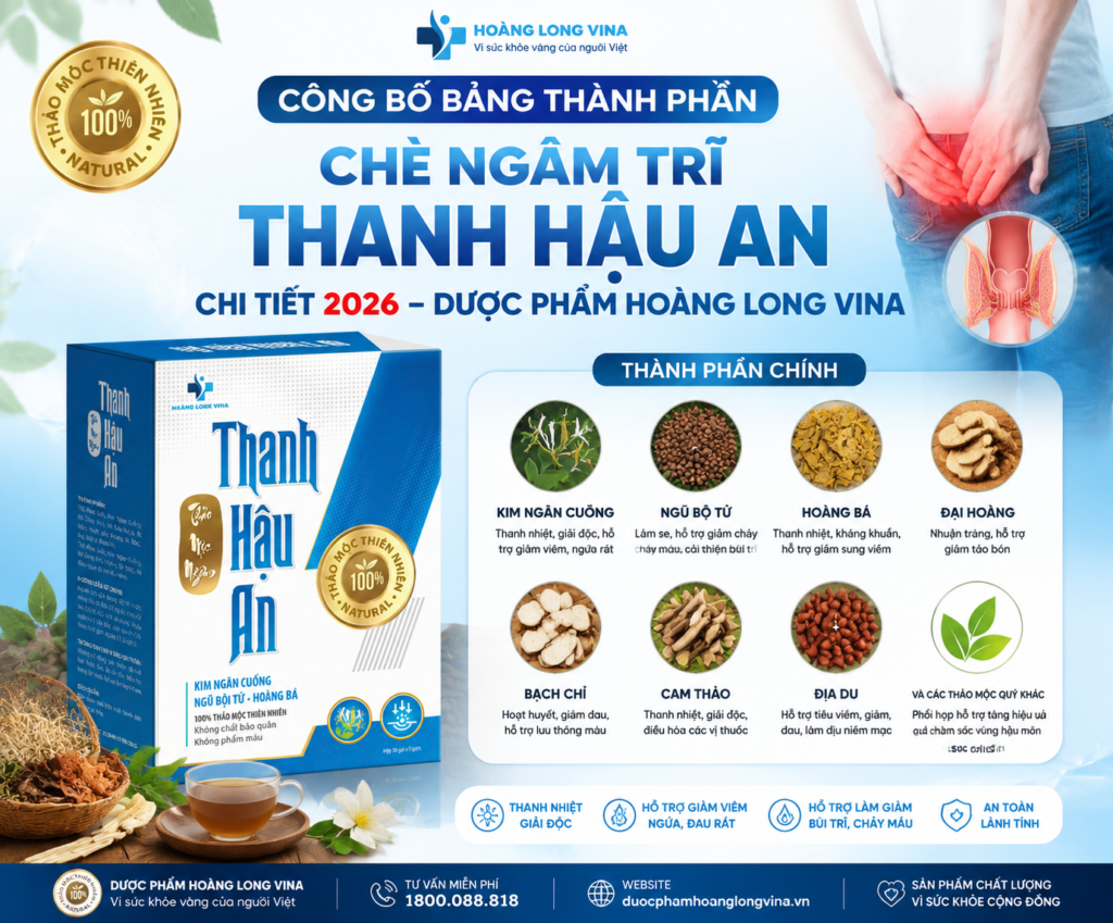 Công bố bảng thành phần chè ngâm trĩ Thanh Hậu An chi tiết 2026 – Dược phẩm Hoàng Long ViNa 