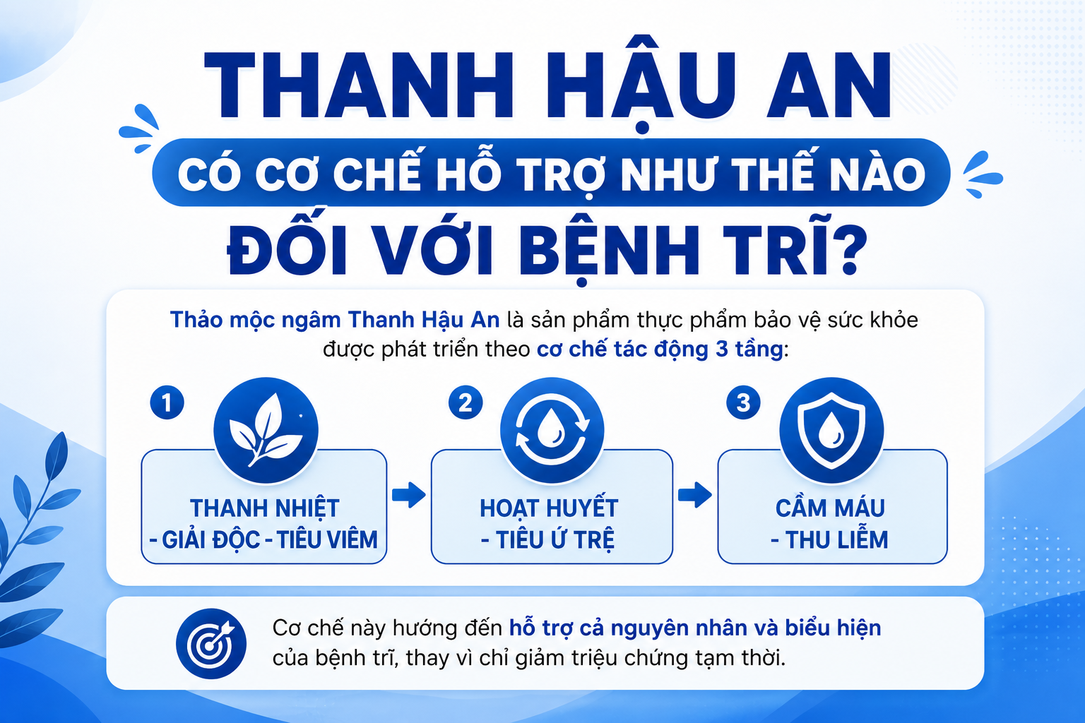 Cơ chế hỗ trợ của Thanh Hậu An trong bệnh trĩ
