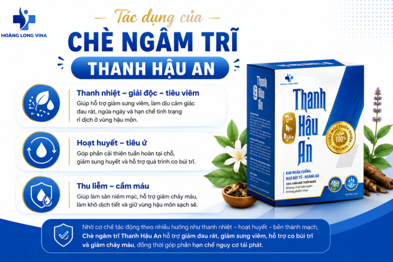 Tác dụng chè ngâm trĩ Thanh Hậu An hỗ trợ xẹp búi trĩ