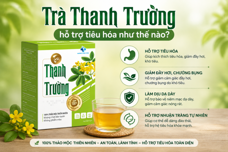 Trà Thanh Trường hỗ trợ tiêu hóa như thế nào?