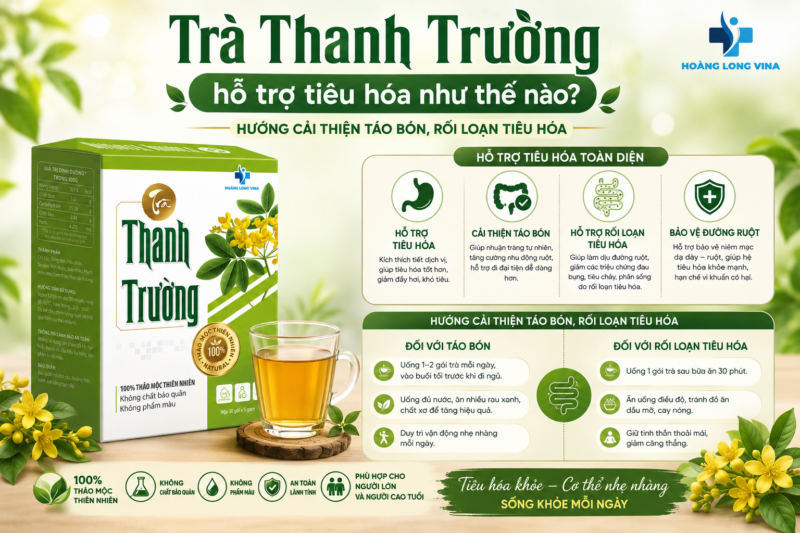 Trà Thanh Trường hỗ trợ tiêu hóa như thế nào? Hướng cải thiện táo bón, rối loạn tiêu hóa