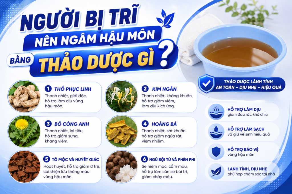 Người bị trĩ nên ngâm hậu môn bằng thảo dược gì?
