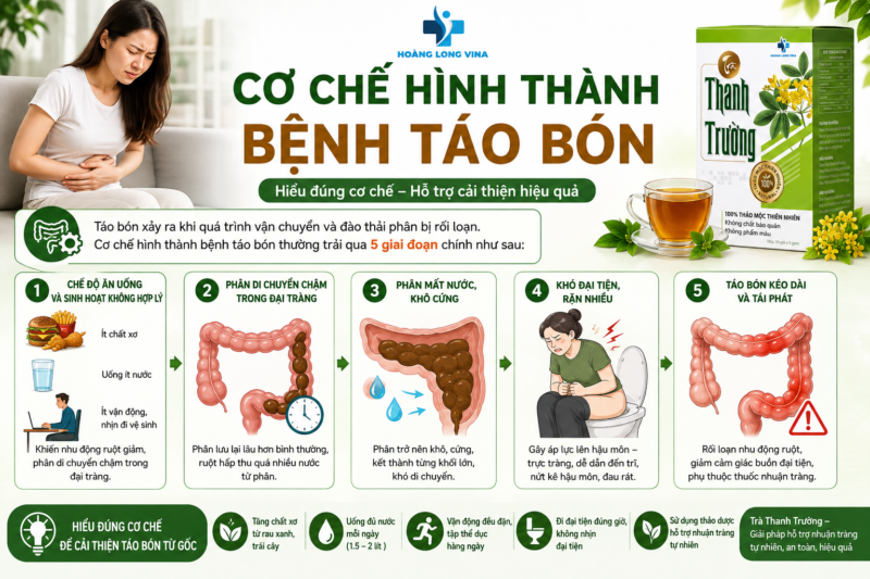 Cơ chế hình thành bệnh táo bón