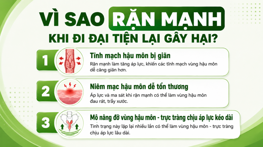 Vì sao rặn mạnh khi đi đại tiện lại gây hại? 