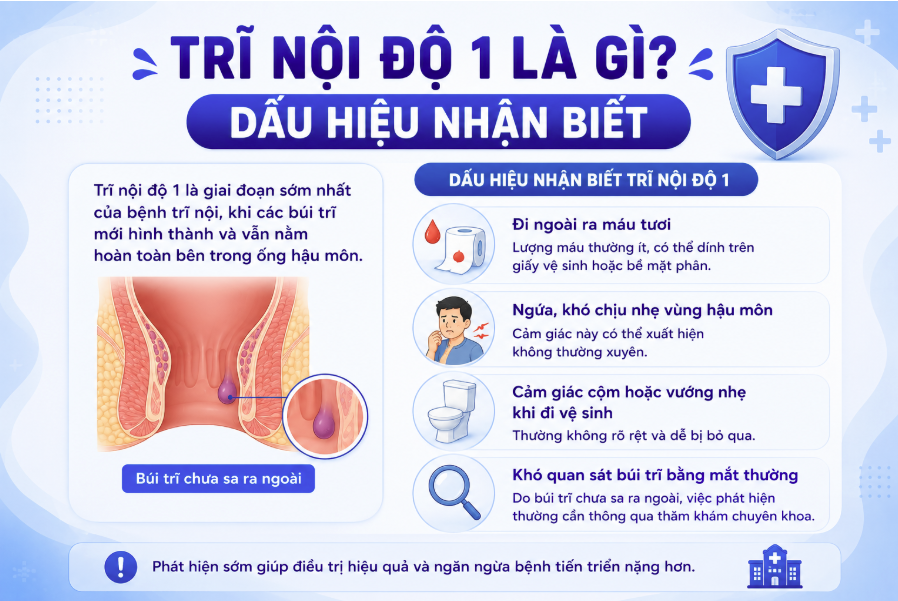 Trĩ nội độ 1 là gì?