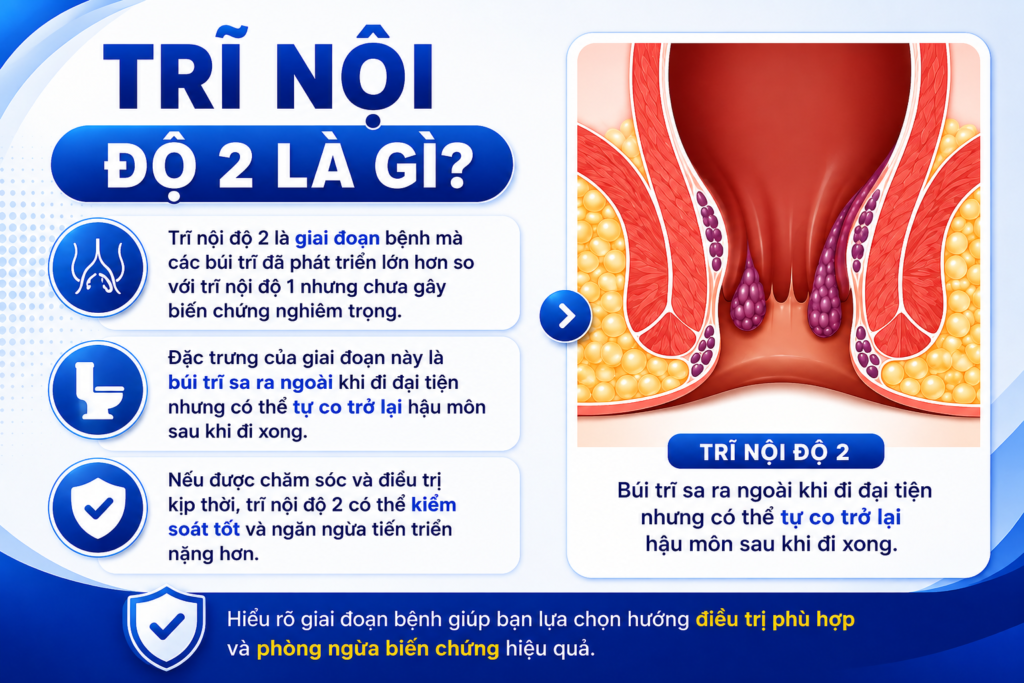 Trĩ nội độ 2 là gì?