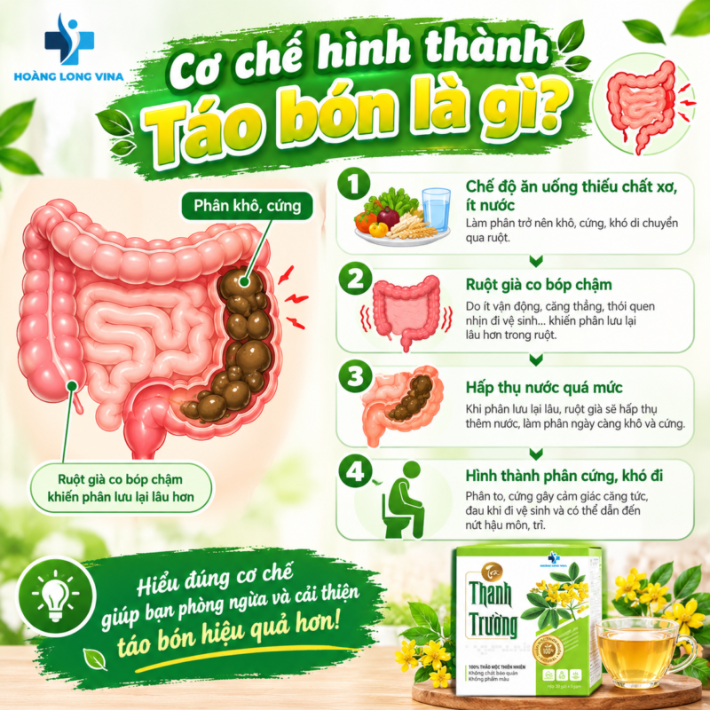 Cơ chế hình thành táo bón