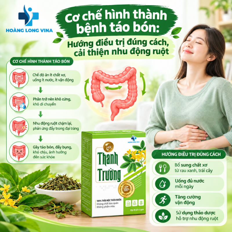 Cơ chế hình thành bệnh táo bón: Hướng điều trị đúng cách, cải thiện nhu động ruột