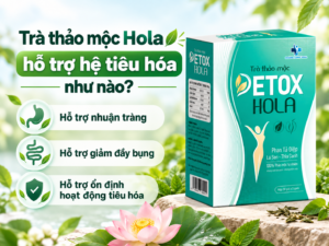 Trà thảo mộc Hola hỗ trợ hệ tiêu hóa như nào?