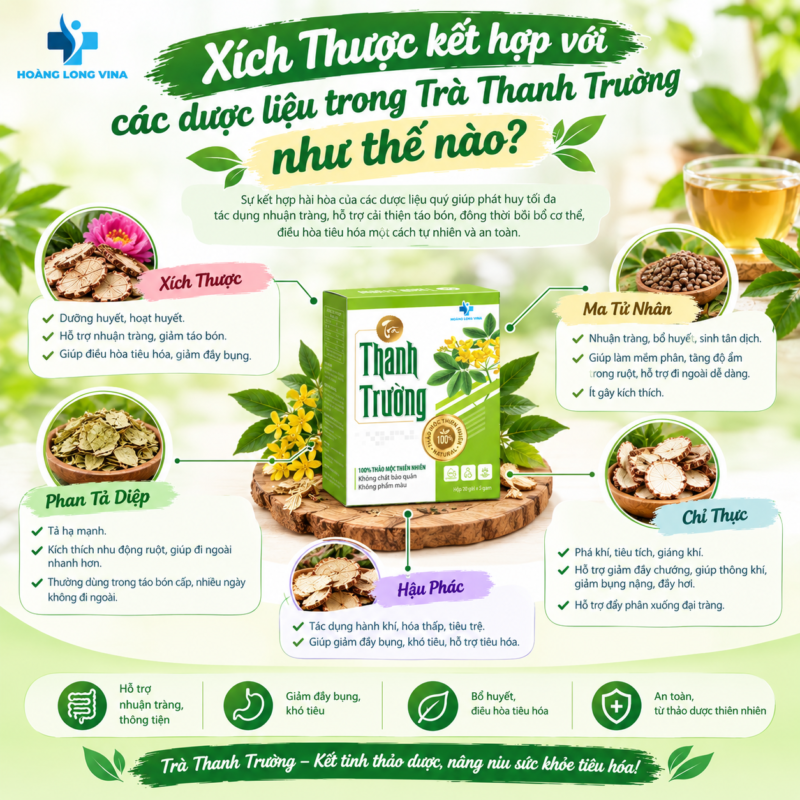Xích Thược kết hợp với các dược liệu trong Trà Thanh Trường như thế nào?