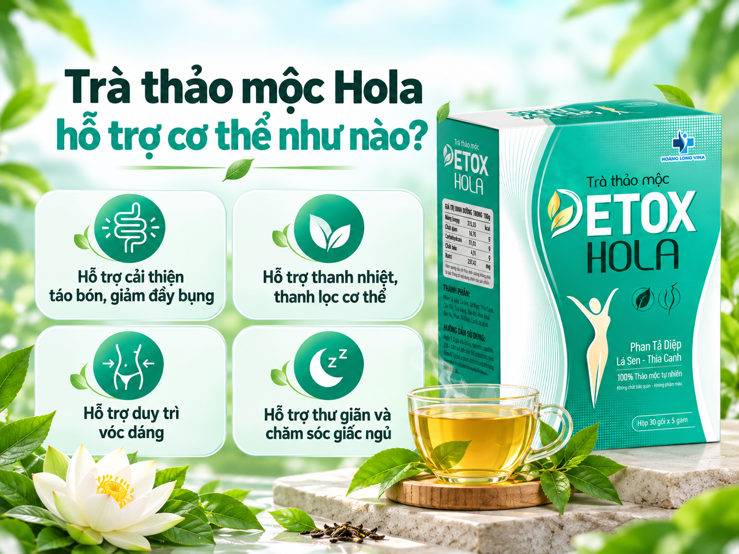 Trà thảo mộc Hola hỗ trợ cơ thể như nào?