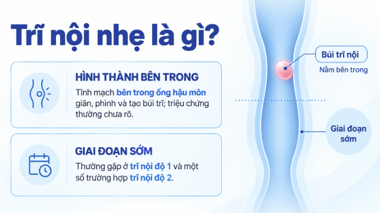 Trĩ nội nhẹ là gì?