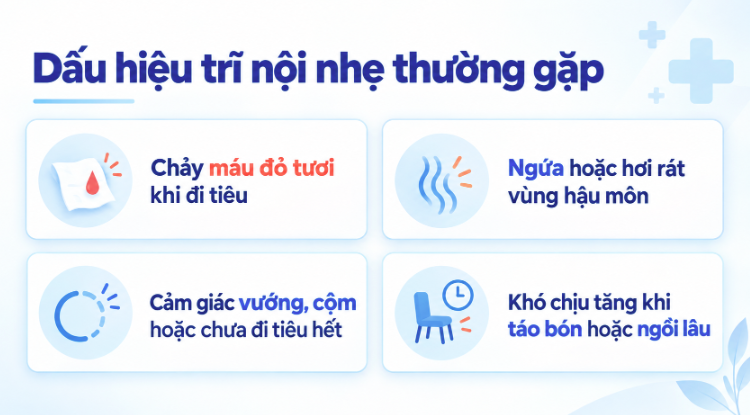 Dấu hiệu trĩ nội nhẹ thường gặp