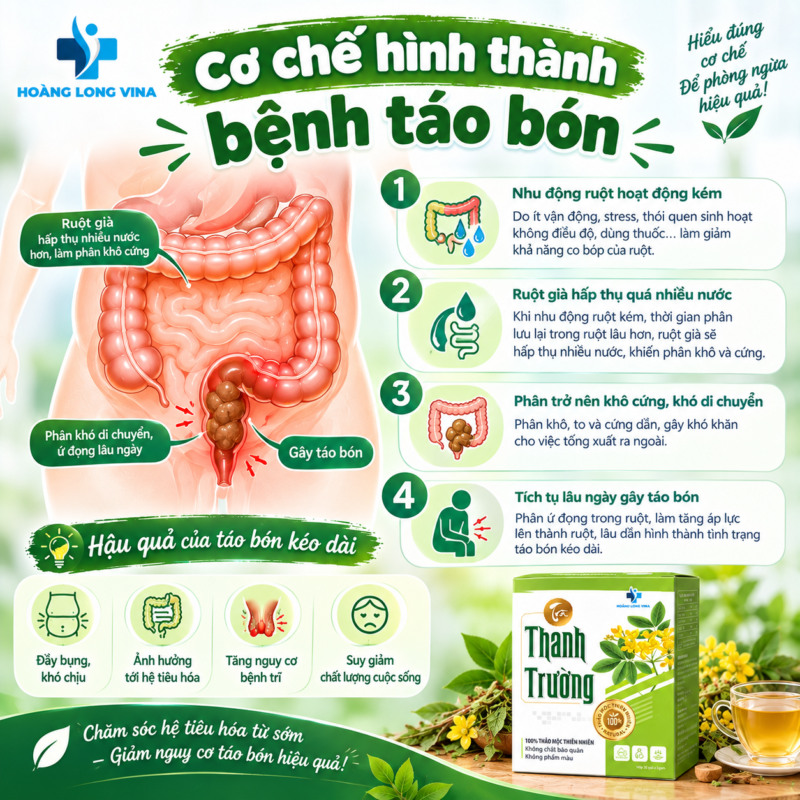 Cơ chế hình thành bệnh táo bón