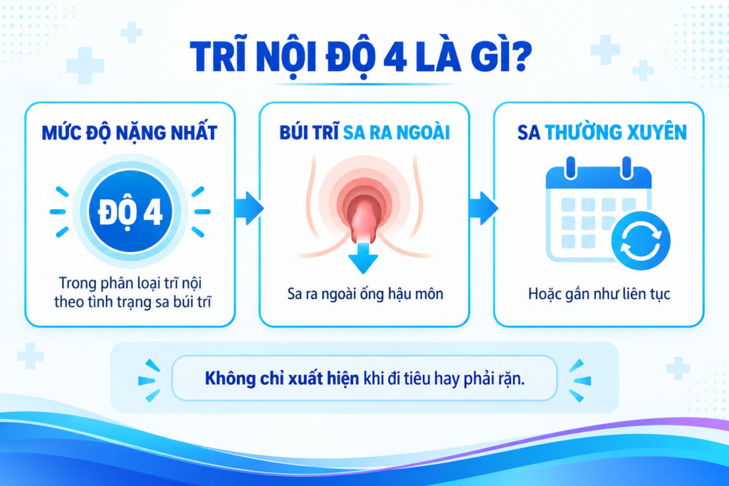 Trĩ nội độ 4 là gì?