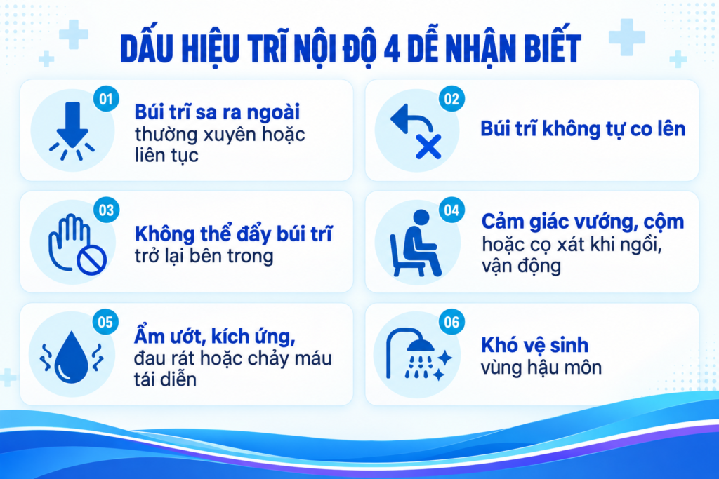 Dấu hiệu trĩ nội độ 4 dễ nhận biết
