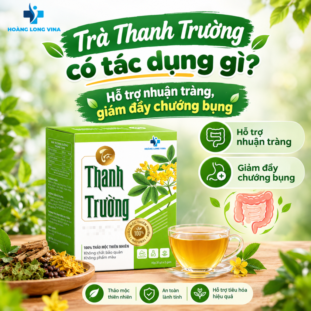 Trà Thanh Trường có tác dụng gì? Hỗ trợ nhuận tràng, giảm đầy chướng bụng 