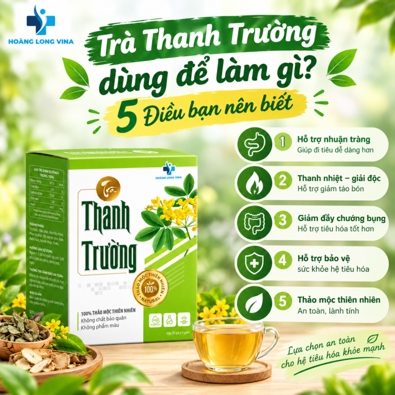 Trà Thanh Trường dùng để làm gì? 5 Điều bạn nên biết