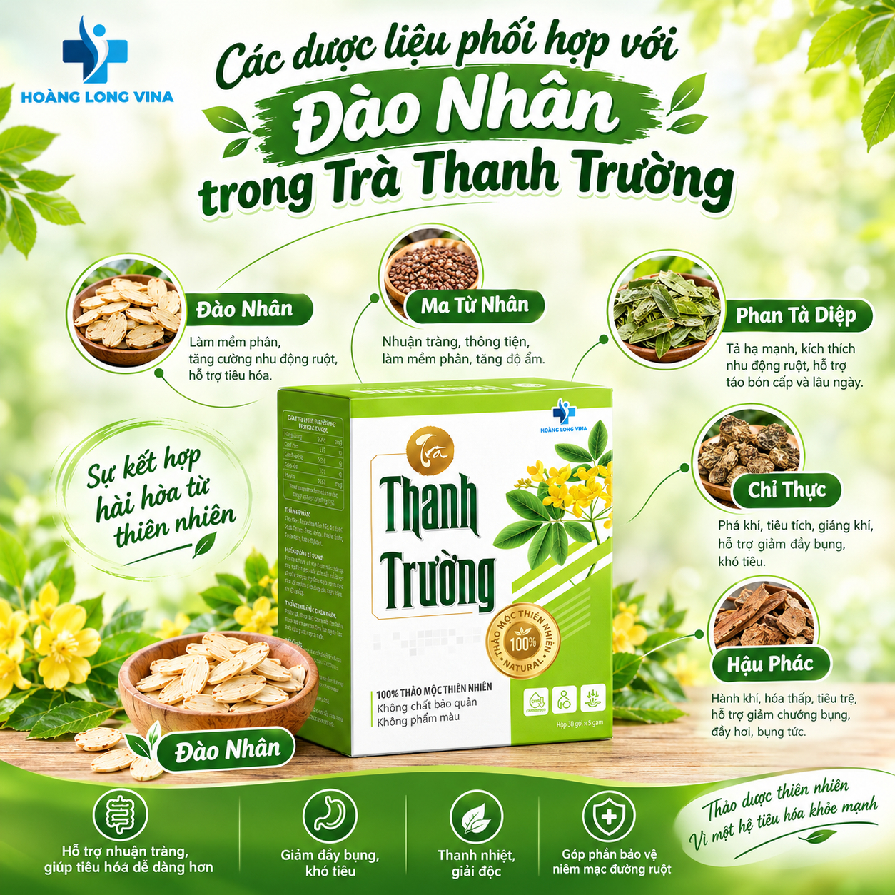 Các dược liệu phối hợp với Đào Nhân trong Trà Thanh Trường