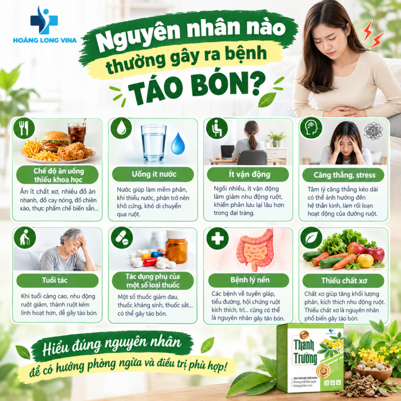 Nguyên nhân nào thường gây ra bệnh táo bón?